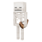 Skeleton