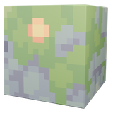Moss Cube
