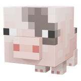 Baby Pig